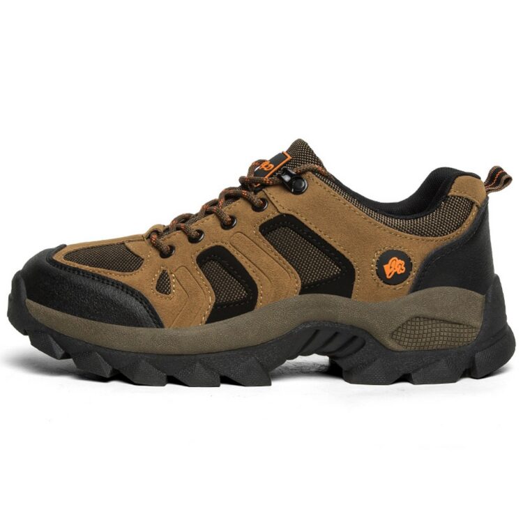 gortex hiking shoe